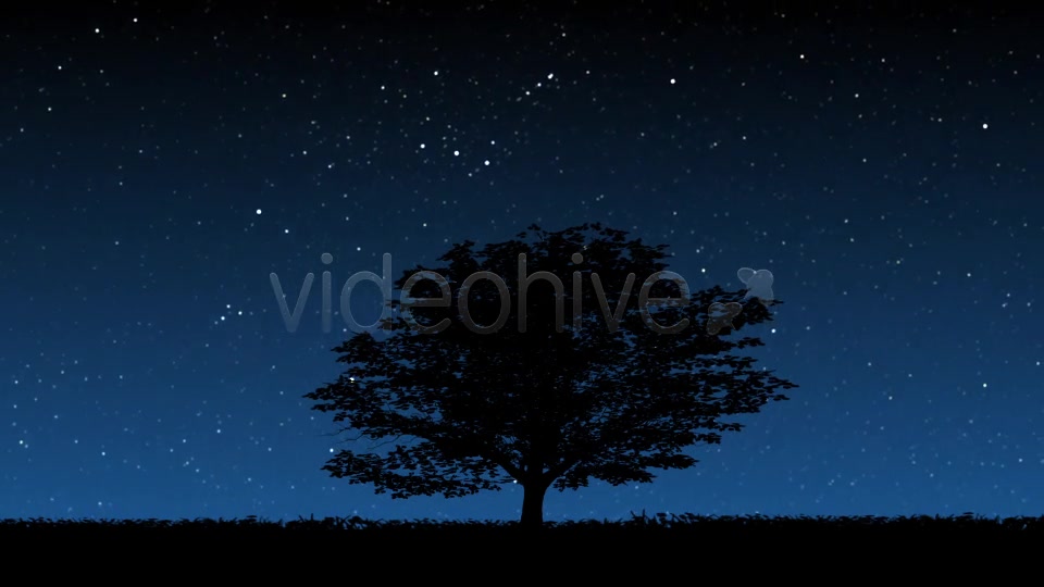 Tree At Night - Download Videohive 7158389