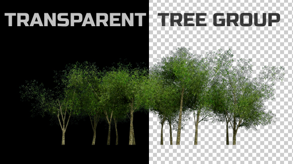 Tree Group Animation - Download Videohive 18348017