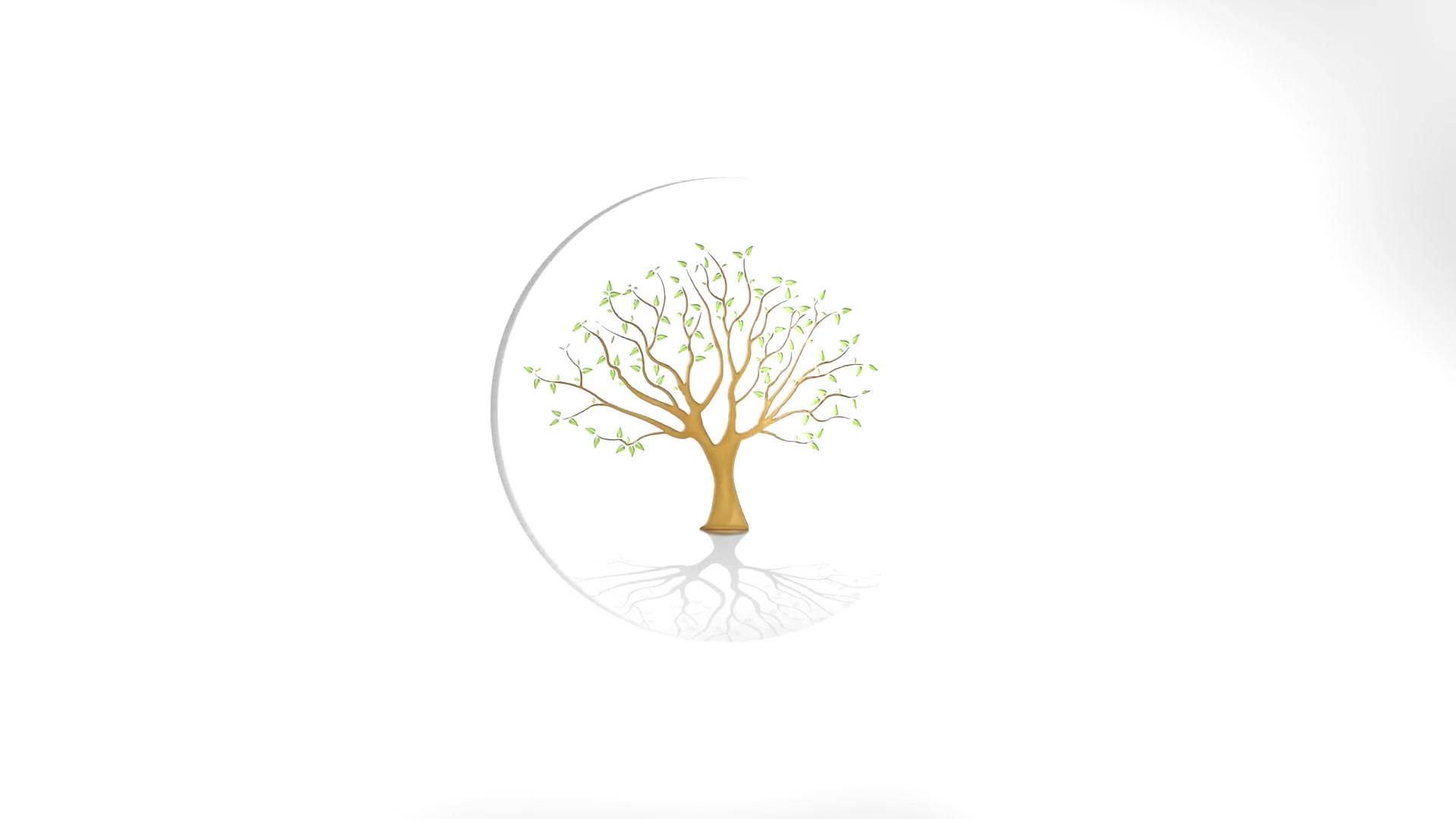 Tree Logo Videohive 24164706 After Effects Image 10