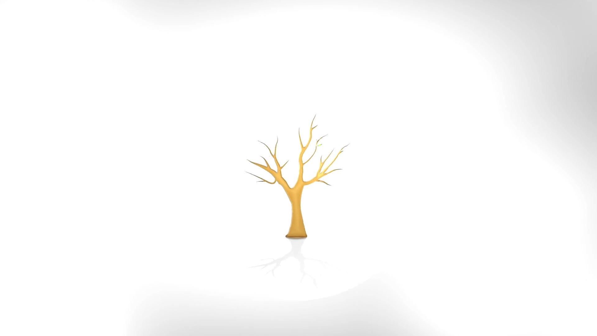 Tree Logo Videohive 24164706 After Effects Image 9