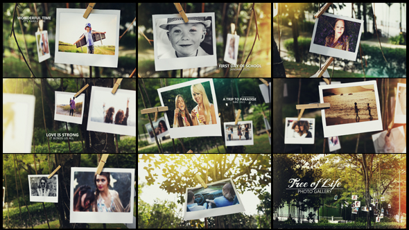 Tree of Life Photo Gallery - Download Videohive 15795143
