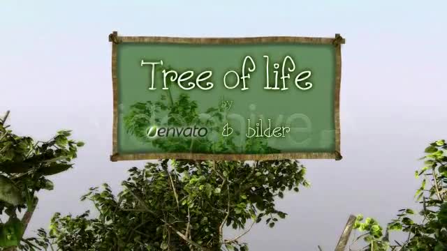 Tree of Life Videohive 266336 After Effects Image 1