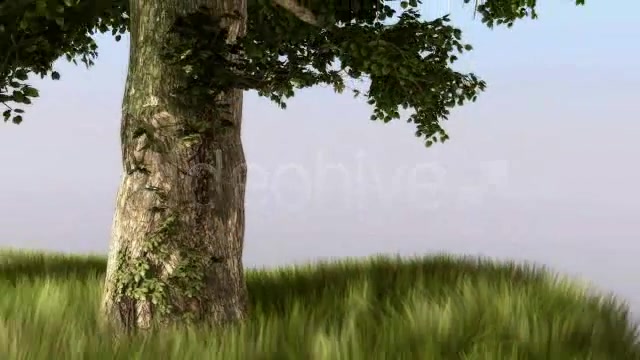 Tree of Life Videohive 266336 After Effects Image 9