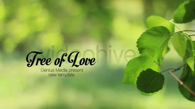 Tree Of Love - Download Videohive 4869633