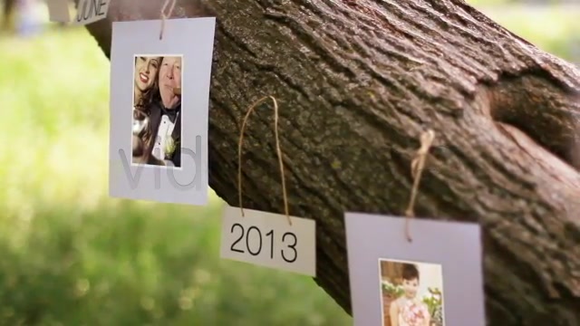 Tree Of Love - Download Videohive 4869633