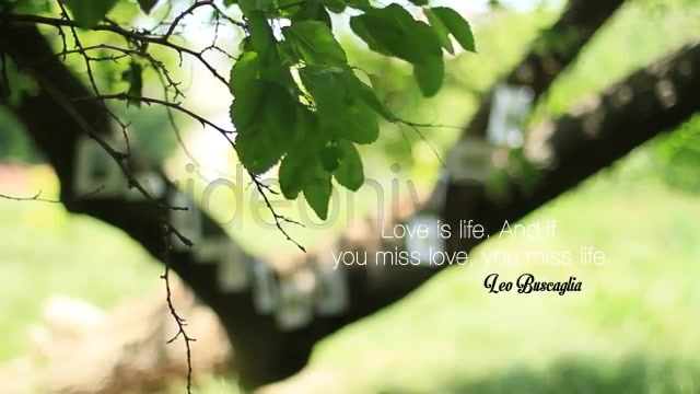 Tree Of Love - Download Videohive 4869633