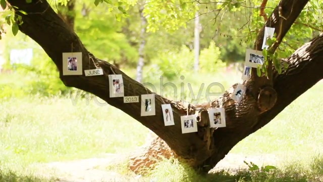 Tree Of Love - Download Videohive 4869633