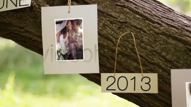 Tree Of Love - Download Videohive 4869633