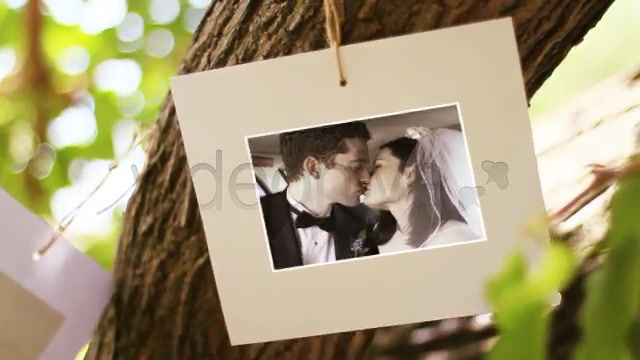 Tree Of Love - Download Videohive 4869633