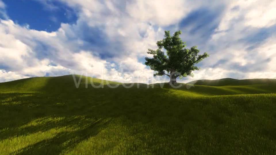 Tree On The Blistful Field - Download Videohive 8871033