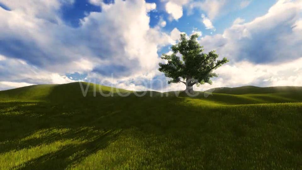 Tree On The Blistful Field - Download Videohive 8871033