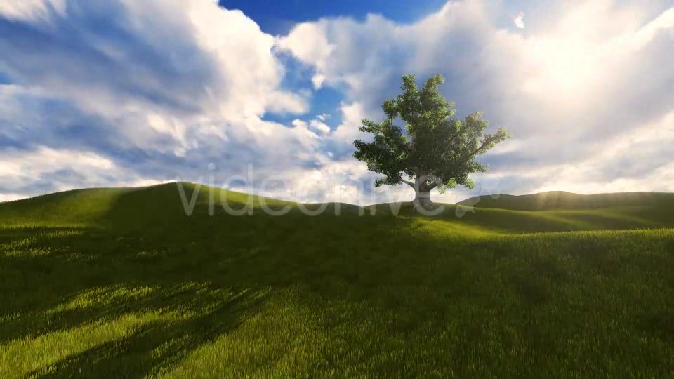 Tree On The Blistful Field - Download Videohive 8871033