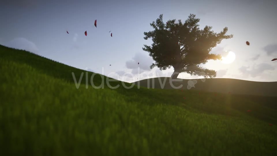 Tree On The Blistful Field V2 - Download Videohive 11222531