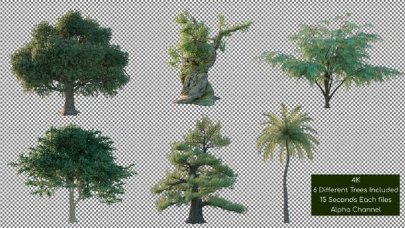 Tree Pack 4K - Videohive 26266867 Download