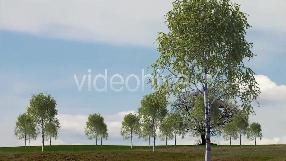 Tree Videohive 4232646 Motion Graphics Image 5