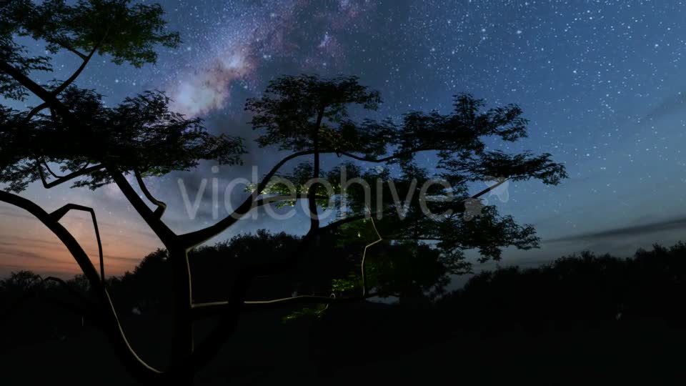 Trees and Milky Way Stars at Night - Download Videohive 19317784