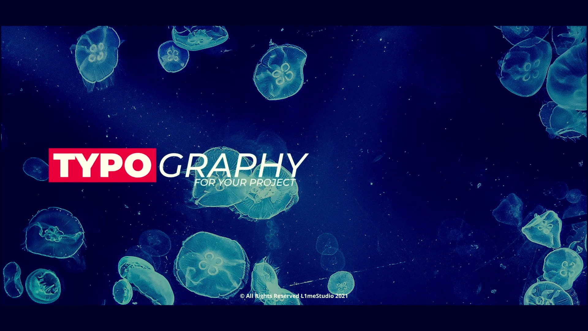 Trendy Titles Videohive 35071985 DaVinci Resolve Image 6