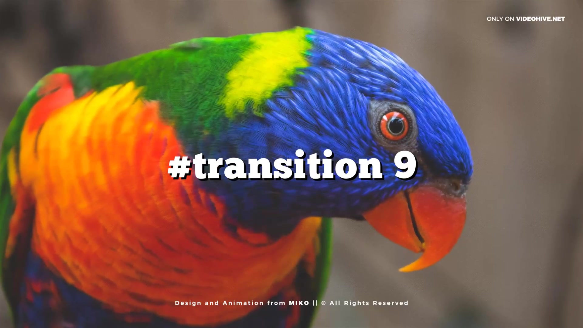 Trendy Transitions Pack Videohive 21571462 After Effects Image 6