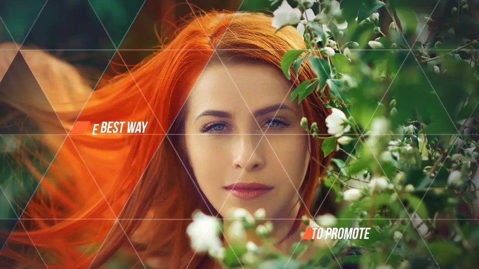 Triangle Beauty - Download Videohive 19882942