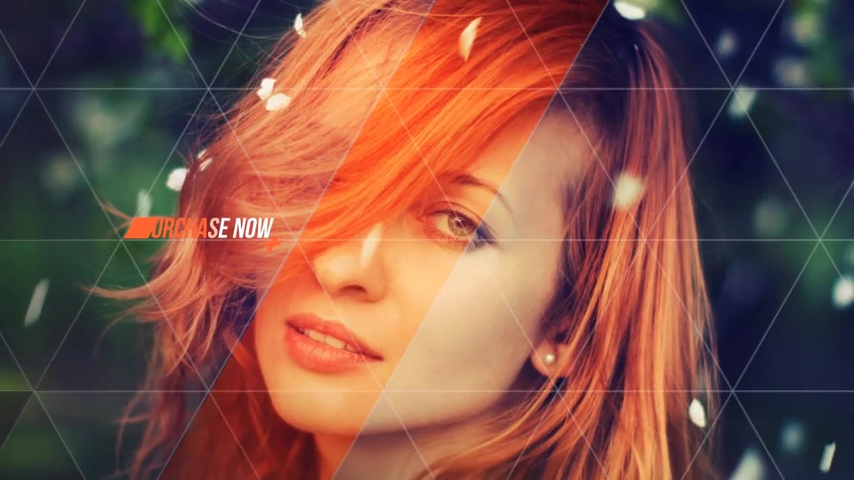 Triangle Beauty - Download Videohive 19882942