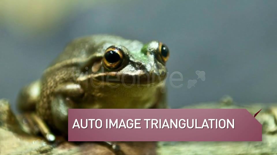 Triangulate Slideshow - Download Videohive 3681335