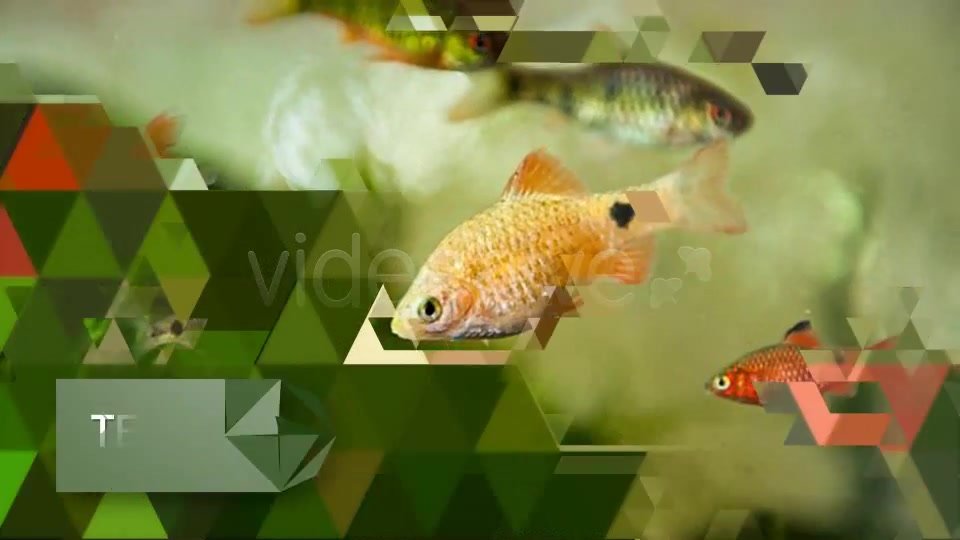 Triangulate Slideshow - Download Videohive 3681335