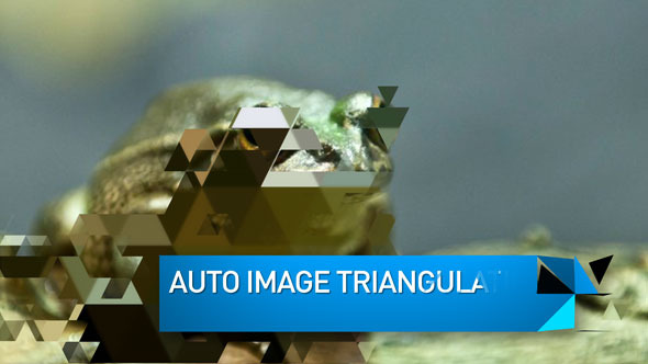 Triangulate Slideshow - Download Videohive 3681335