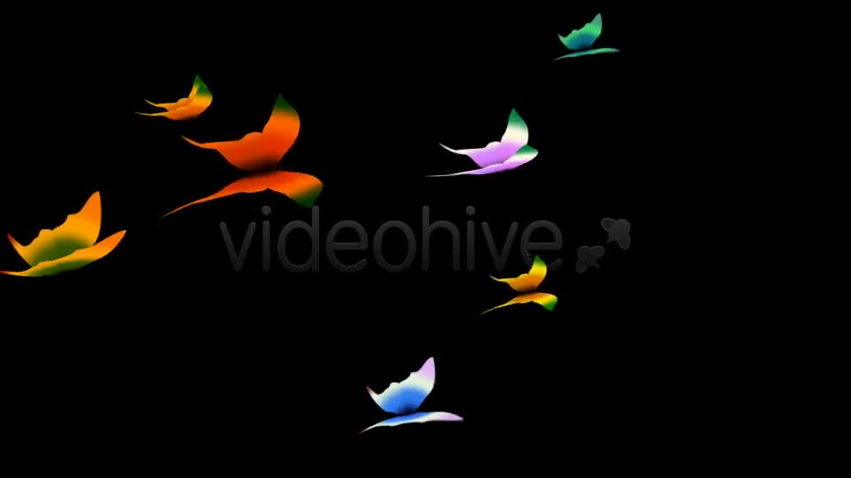 Tropical Butterflies Loop Videohive 400789 Motion Graphics Image 1