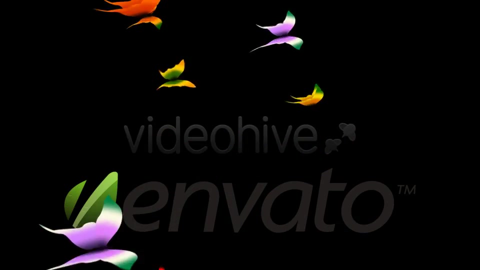 Tropical Butterflies Loop Videohive 400789 Motion Graphics Image 10