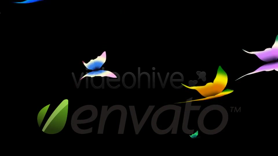 Tropical Butterflies Loop Videohive 400789 Motion Graphics Image 11