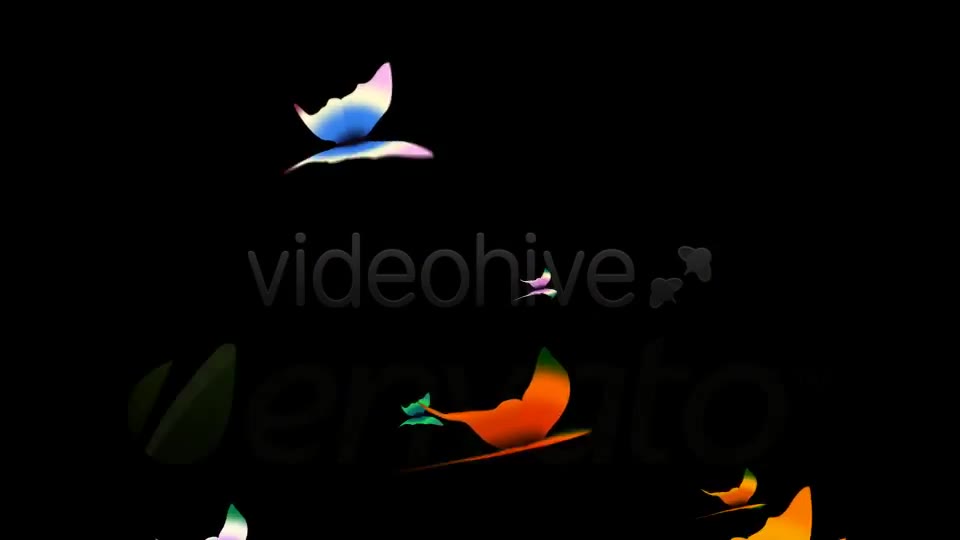 Tropical Butterflies Loop Videohive 400789 Motion Graphics Image 2