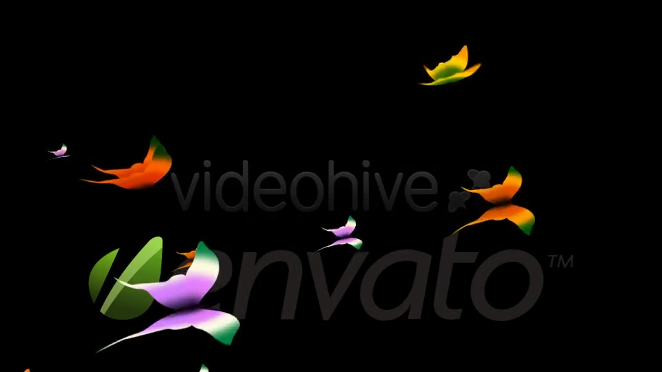 Tropical Butterflies Loop Videohive 400789 Motion Graphics Image 3