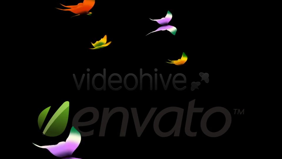 Tropical Butterflies Loop Videohive 400789 Motion Graphics Image 4