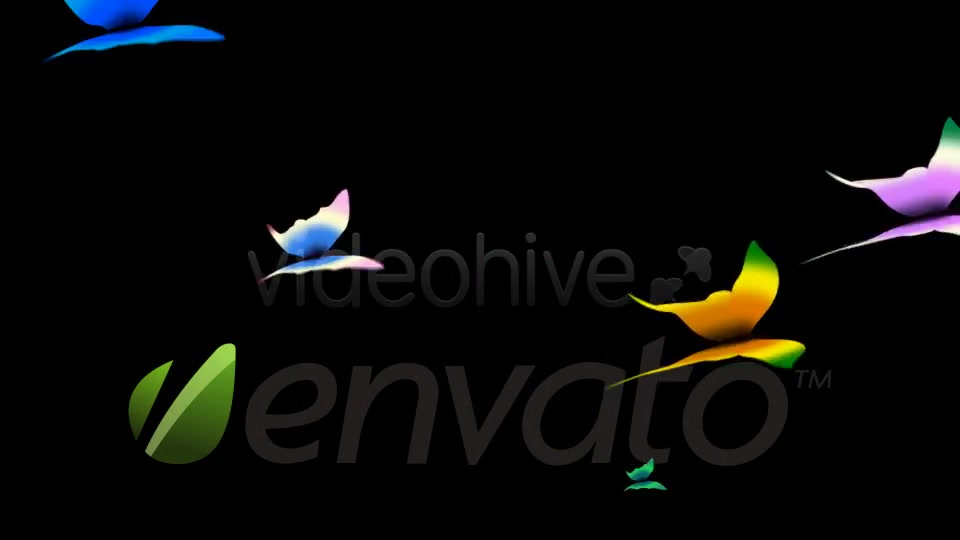 Tropical Butterflies Loop Videohive 400789 Motion Graphics Image 5