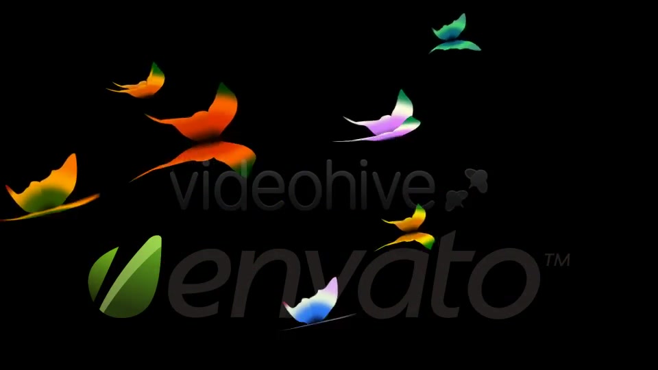Tropical Butterflies Loop Videohive 400789 Motion Graphics Image 7