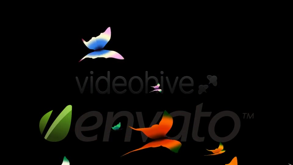 Tropical Butterflies Loop Videohive 400789 Motion Graphics Image 8