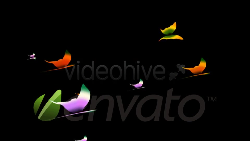 Tropical Butterflies Loop Videohive 400789 Motion Graphics Image 9