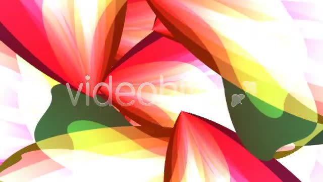 Tropical Flowers Loop Videohive 80772 Motion Graphics Image 1