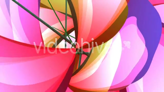 Tropical Flowers Loop Videohive 80772 Motion Graphics Image 3