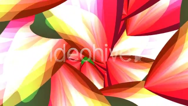 Tropical Flowers Loop Videohive 80772 Motion Graphics Image 6
