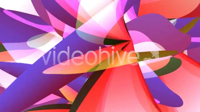 Tropical Flowers Loop Videohive 80772 Motion Graphics Image 9