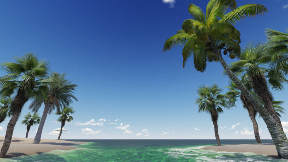 Tropical Heaven V4 - Download Videohive 7908882