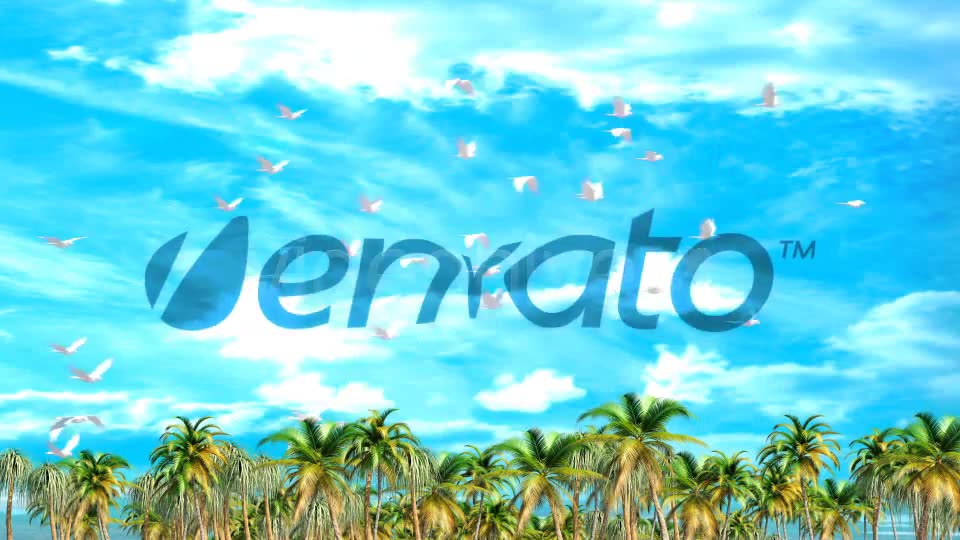 Tropical Paradise Travel Commercial Videohive 2601366 After Effects Image 8