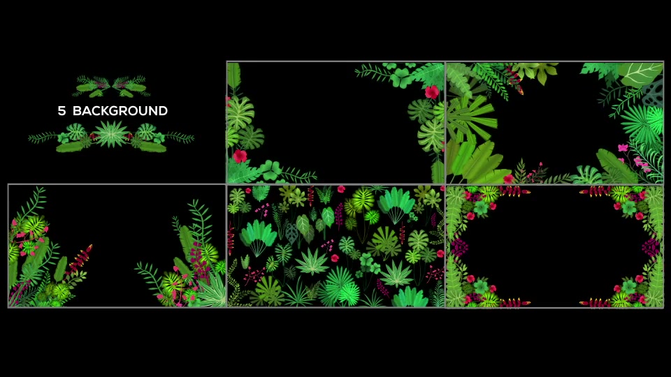 Tropical Plant Pack Videohive 20676721 After Effects Image 6