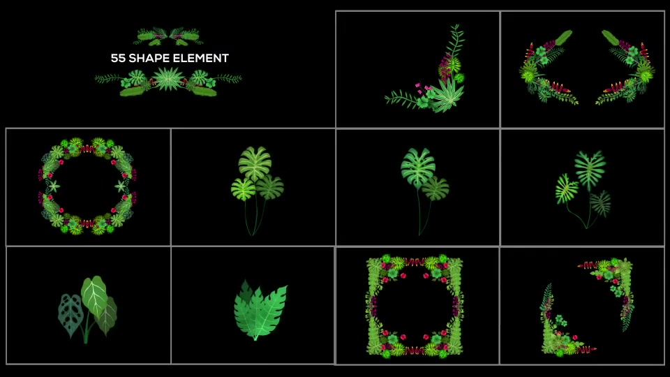 Tropical Plant Pack Videohive 20676721 After Effects Image 8