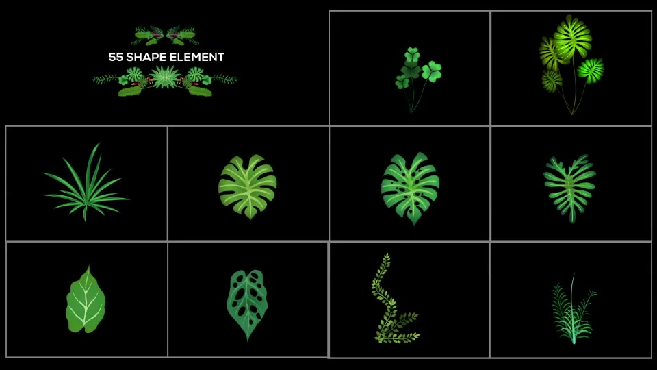 Tropical Plant Pack Videohive 20676721 After Effects Image 9