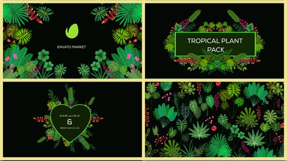 Tropical Plant Pack - Videohive 20676721 Download