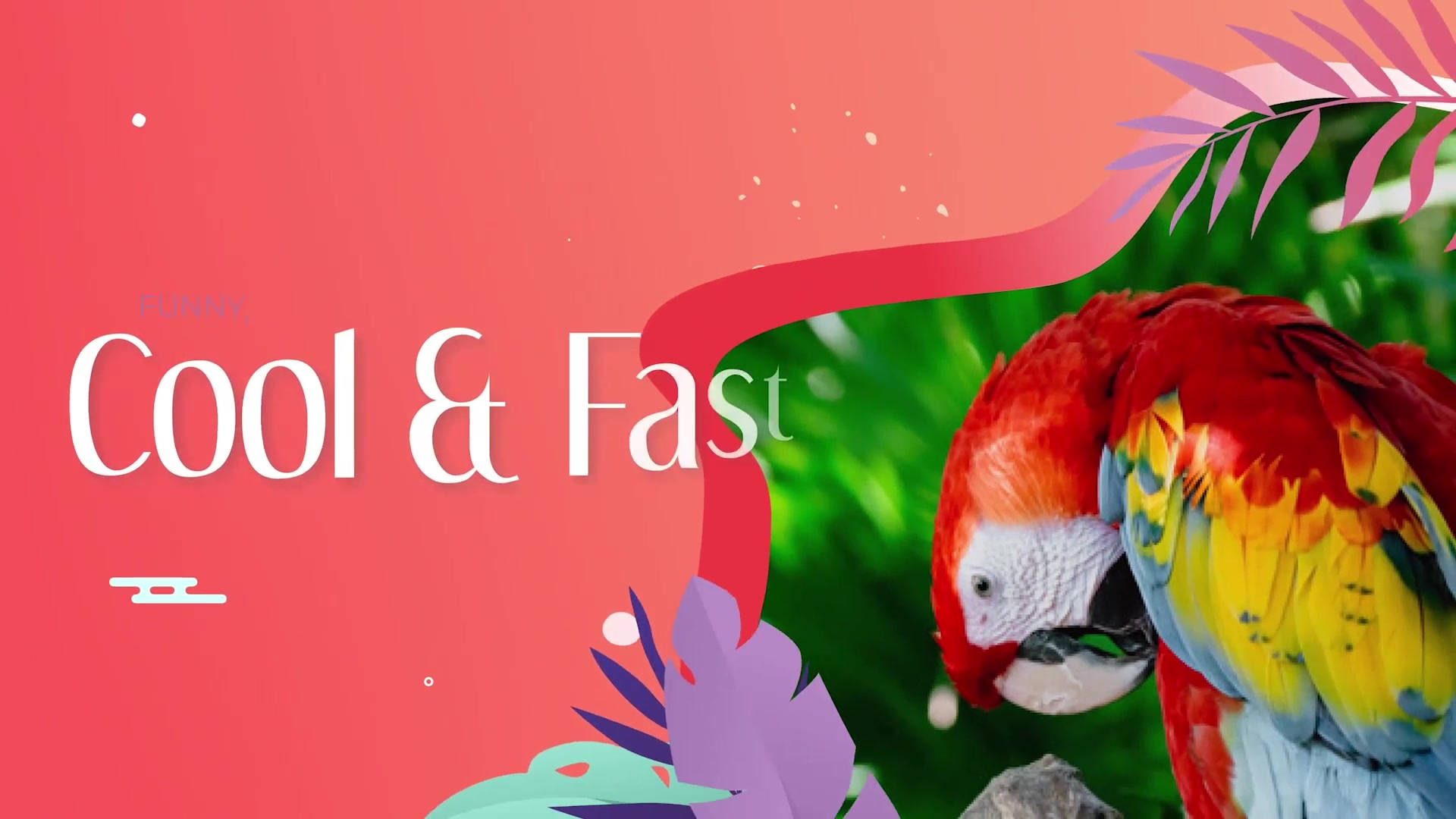 Tropical Promo Slideshow | FCPX Videohive 32980758 Apple Motion Image 7