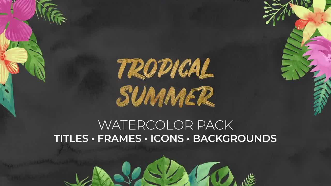 Tropical Summer. Watercolor Pack Videohive 36046951 DaVinci Resolve Image 1
