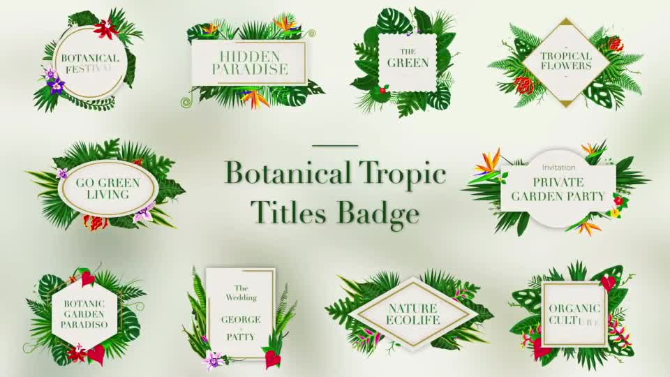 Tropical Titles Badge Videohive 23389450 After Effects Image 1